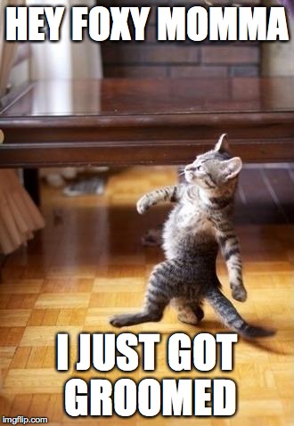 Cool Cat Stroll Meme | HEY FOXY MOMMA; I JUST GOT GROOMED | image tagged in memes,cool cat stroll | made w/ Imgflip meme maker