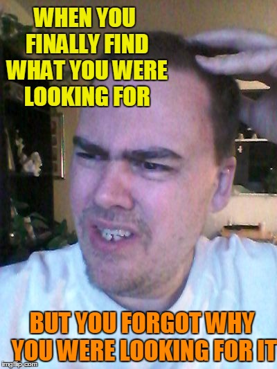 Grrr | WHEN YOU FINALLY FIND WHAT YOU WERE LOOKING FOR; BUT YOU FORGOT WHY YOU WERE LOOKING FOR IT | image tagged in indecisive | made w/ Imgflip meme maker