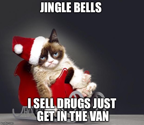 Grumpy Cat Christmas HD | JINGLE BELLS; I SELL DRUGS JUST GET IN THE VAN | image tagged in grumpy cat christmas hd | made w/ Imgflip meme maker