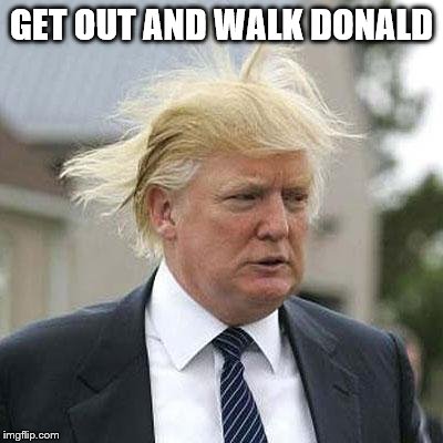 It's windy | GET OUT AND WALK DONALD | image tagged in donald trump | made w/ Imgflip meme maker
