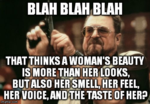 Am I The Only One Around Here | BLAH BLAH BLAH; THAT THINKS A WOMAN'S BEAUTY IS MORE THAN HER LOOKS, BUT ALSO HER SMELL, HER FEEL, HER VOICE, AND THE TASTE OF HER? | image tagged in memes,am i the only one around here | made w/ Imgflip meme maker