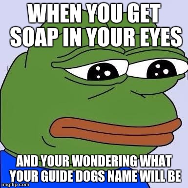 pepe | WHEN YOU GET SOAP IN YOUR EYES; AND YOUR WONDERING WHAT YOUR GUIDE DOGS NAME WILL BE | image tagged in pepe | made w/ Imgflip meme maker