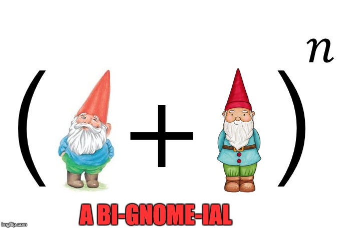 Taking me back to when maths was...fun? :/ | A BI-GNOME-IAL | image tagged in original meme,maths,bad pun,gnomes | made w/ Imgflip meme maker