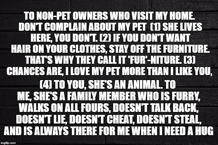 Pets are Family Too | TO NON-PET OWNERS WHO VISIT MY HOME. DON'T COMPLAIN ABOUT MY PET
 (1) SHE LIVES HERE, YOU DON'T. (2) IF YOU DON'T WANT HAIR ON YOUR CLOTHES, STAY OFF THE FURNITURE. THAT'S WHY THEY CALL IT 'FUR'-NITURE. (3) CHANCES ARE, I LOVE MY PET MORE THAN I LIKE YOU, (4) TO YOU, SHE'S AN ANIMAL. TO ME, SHE'S A FAMILY MEMBER WHO IS FURRY, WALKS ON ALL FOURS, DOESN'T TALK BACK, DOESN'T LIE, DOESN'T CHEAT, DOESN'T STEAL, AND IS ALWAYS THERE FOR ME WHEN I NEED A HUG | image tagged in pets,dogs an cats,dogs,cats,true story,true love | made w/ Imgflip meme maker