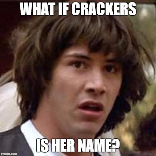 Conspiracy Keanu Meme | WHAT IF CRACKERS IS HER NAME? | image tagged in memes,conspiracy keanu | made w/ Imgflip meme maker