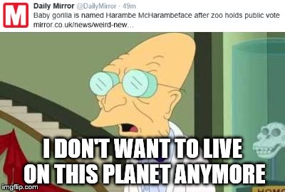 Seriously guys? | I DON'T WANT TO LIVE ON THIS PLANET ANYMORE | image tagged in twitter,futurama,harambe | made w/ Imgflip meme maker