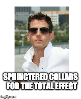 Sphinctered collars | SPHINCTERED COLLARS  FOR THE TOTAL EFFECT | image tagged in polo shirts,dick,popped collars,sphinctered collars | made w/ Imgflip meme maker