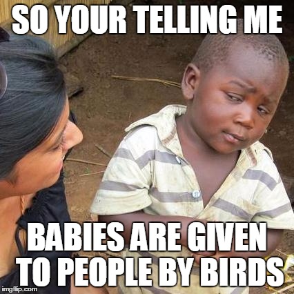 Third World Skeptical Kid | SO YOUR TELLING ME; BABIES ARE GIVEN TO PEOPLE BY BIRDS | image tagged in memes,third world skeptical kid | made w/ Imgflip meme maker