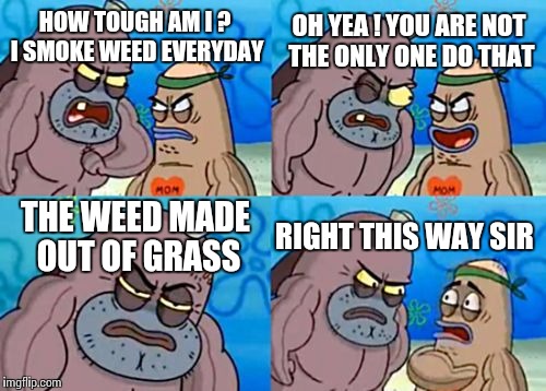 How Tough Are You | OH YEA ! YOU ARE NOT THE ONLY ONE DO THAT; HOW TOUGH AM I ? I SMOKE WEED EVERYDAY; THE WEED MADE OUT OF GRASS; RIGHT THIS WAY SIR | image tagged in memes,how tough are you | made w/ Imgflip meme maker