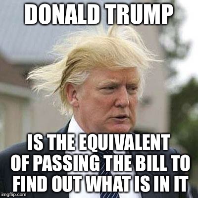 Donald Trump | DONALD TRUMP; IS THE EQUIVALENT OF PASSING THE BILL TO FIND OUT WHAT IS IN IT | image tagged in donald trump | made w/ Imgflip meme maker
