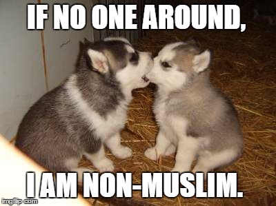 Cute Puppies | IF NO ONE AROUND, I AM NON-MUSLIM. | image tagged in memes,cute puppies | made w/ Imgflip meme maker