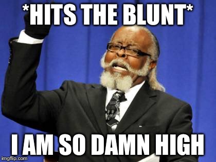 Too Damn High | *HITS THE BLUNT*; I AM SO DAMN HIGH | image tagged in memes,too damn high | made w/ Imgflip meme maker