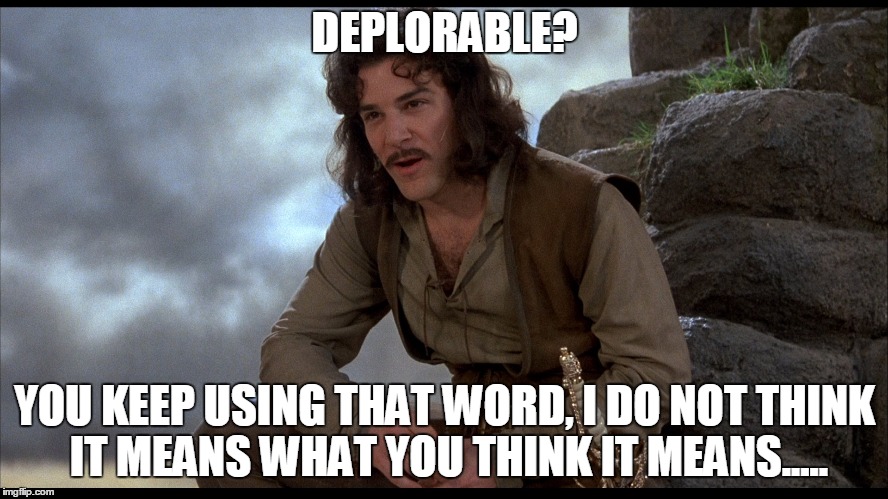 Princess Bride | DEPLORABLE? YOU KEEP USING THAT WORD, I DO NOT THINK IT MEANS WHAT YOU THINK IT MEANS..... | image tagged in princess bride | made w/ Imgflip meme maker