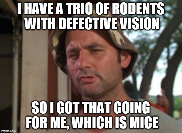 So I Got That Goin For Me Which Is Nice Meme | I HAVE A TRIO OF RODENTS WITH DEFECTIVE VISION; SO I GOT THAT GOING FOR ME, WHICH IS MICE | image tagged in memes,so i got that goin for me which is nice | made w/ Imgflip meme maker