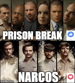 PRISON BREAK; NARCOS | image tagged in prison break,narcos,poll,upvotes,downvotes | made w/ Imgflip meme maker