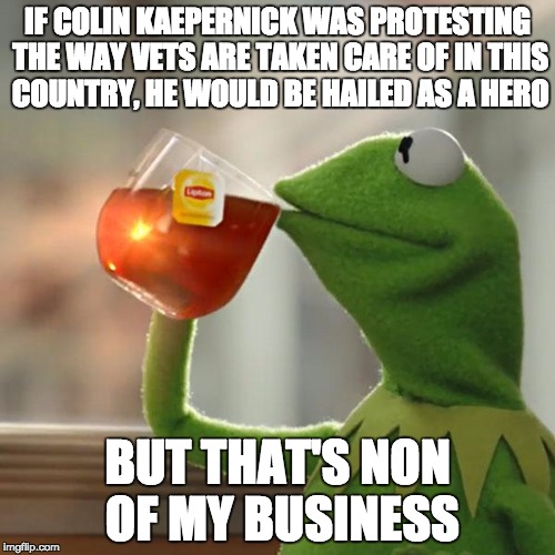 But That's None Of My Business Meme | IF COLIN KAEPERNICK WAS PROTESTING THE WAY VETS ARE TAKEN CARE OF IN THIS COUNTRY, HE WOULD BE HAILED AS A HERO; BUT THAT'S NON OF MY BUSINESS | image tagged in memes,but thats none of my business,kermit the frog | made w/ Imgflip meme maker