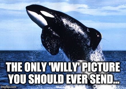 The only 'Willy' picture you should ever send... | THE ONLY 'WILLY' PICTURE YOU SHOULD EVER SEND... | image tagged in memes,willy,funny | made w/ Imgflip meme maker