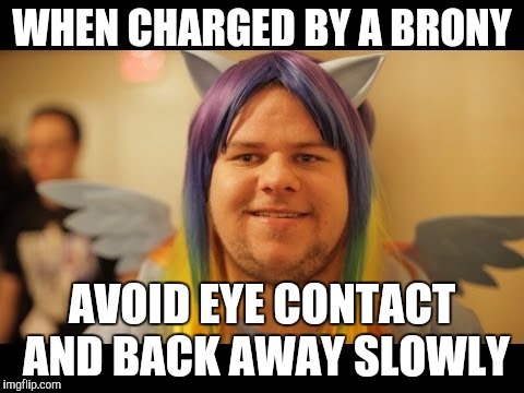 WHEN CHARGED BY A BRONY; AVOID EYE CONTACT AND BACK AWAY SLOWLY | image tagged in brony | made w/ Imgflip meme maker