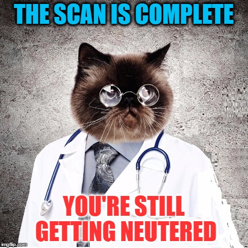 THE SCAN IS COMPLETE YOU'RE STILL GETTING NEUTERED | made w/ Imgflip meme maker