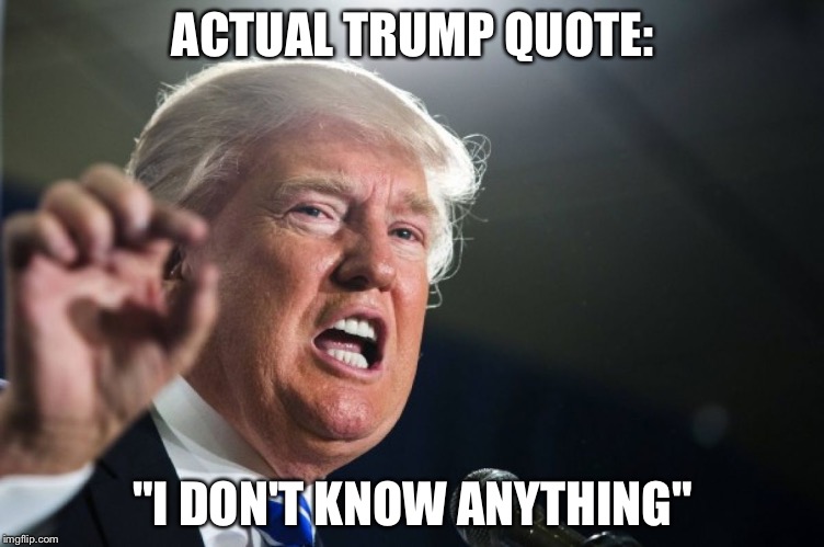 donald trump | ACTUAL TRUMP QUOTE:; "I DON'T KNOW ANYTHING" | image tagged in donald trump | made w/ Imgflip meme maker