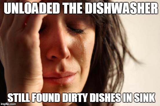 First World Problems | UNLOADED THE DISHWASHER; STILL FOUND DIRTY DISHES IN SINK | image tagged in memes,first world problems | made w/ Imgflip meme maker