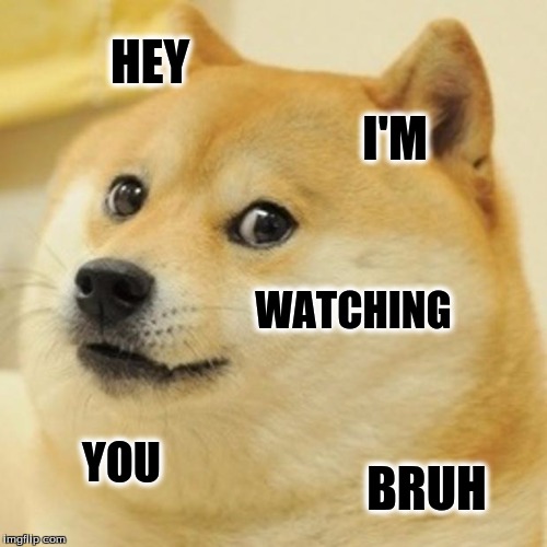 Doge Meme | HEY; I'M; WATCHING; YOU; BRUH | image tagged in memes,doge | made w/ Imgflip meme maker