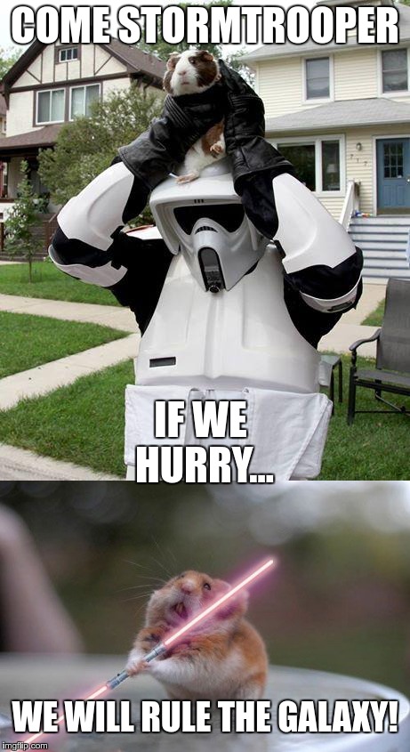 What if Star wars was cuter? | COME STORMTROOPER; IF WE HURRY... WE WILL RULE THE GALAXY! | image tagged in star wars,lightsaber | made w/ Imgflip meme maker