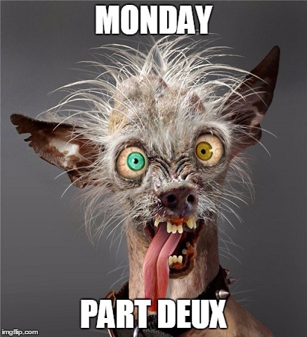 Me Monday morning |  MONDAY; PART DEUX | image tagged in me monday morning | made w/ Imgflip meme maker