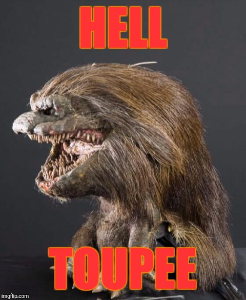 Critter | HELL TOUPEE | image tagged in critter | made w/ Imgflip meme maker