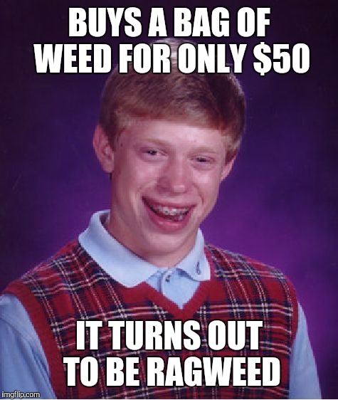 guy said he'd make him a real good deal imgflip 1ajbda guy said he'd make him a real good deal imgflip