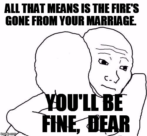 awww hug | ALL THAT MEANS IS THE FIRE'S GONE FROM YOUR MARRIAGE. YOU'LL BE FINE,  DEAR | image tagged in awww hug | made w/ Imgflip meme maker