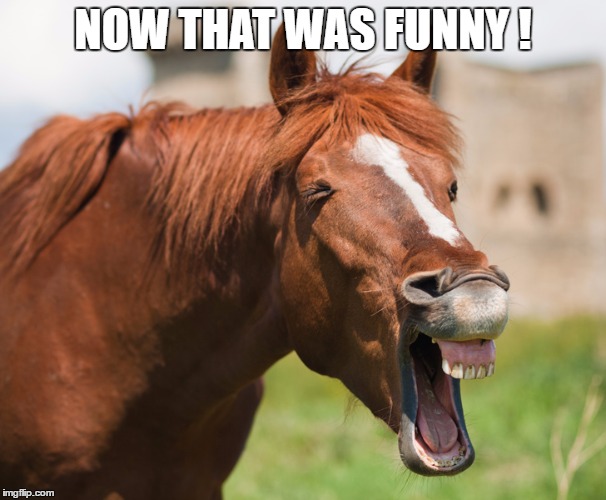 NOW THAT WAS FUNNY ! | made w/ Imgflip meme maker