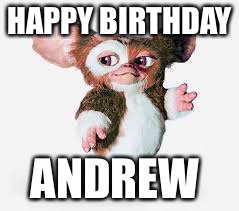 Gizmo | HAPPY BIRTHDAY; ANDREW | image tagged in gizmo | made w/ Imgflip meme maker