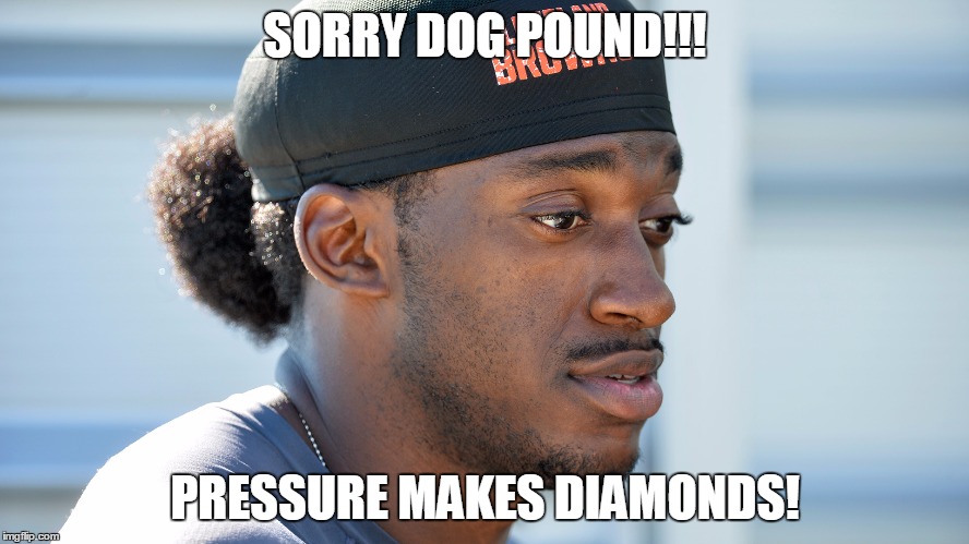 SORRY DOG POUND!!! PRESSURE MAKES DIAMONDS! | image tagged in rg3- sad pup | made w/ Imgflip meme maker