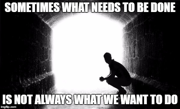 what needs to be done | SOMETIMES WHAT NEEDS TO BE DONE; IS NOT ALWAYS WHAT WE WANT TO DO | image tagged in memes | made w/ Imgflip meme maker