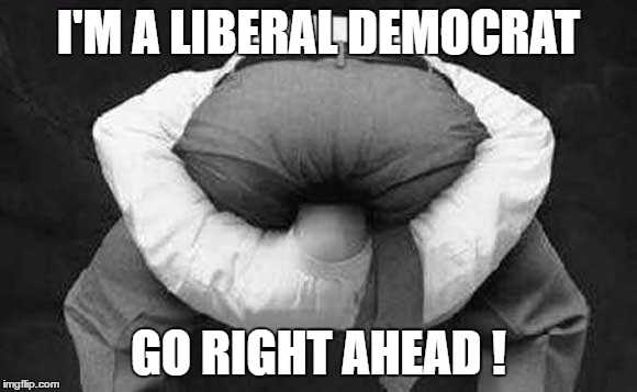I'M A LIBERAL DEMOCRAT GO RIGHT AHEAD ! | made w/ Imgflip meme maker