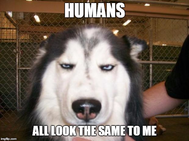 HUMANS ALL LOOK THE SAME TO ME | made w/ Imgflip meme maker
