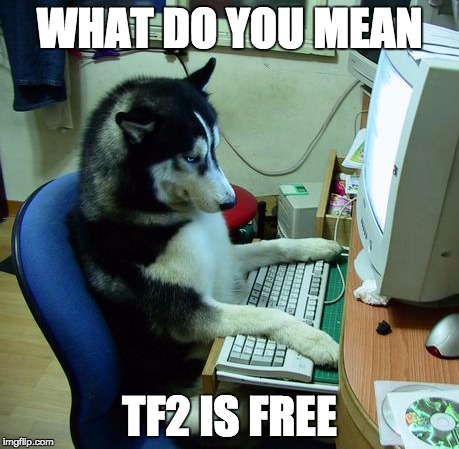 I Have No Idea What I Am Doing | WHAT DO YOU MEAN; TF2 IS FREE | image tagged in memes,i have no idea what i am doing | made w/ Imgflip meme maker