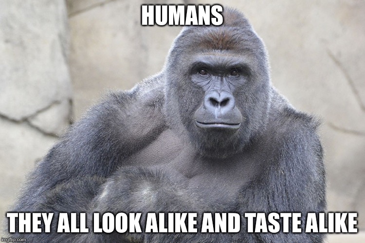 HUMANS THEY ALL LOOK ALIKE AND TASTE ALIKE | made w/ Imgflip meme maker