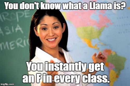 Everyone's worst nightmare | You don't know what a Llama is? You instantly get an F in every class. | image tagged in memes,unhelpful high school teacher | made w/ Imgflip meme maker