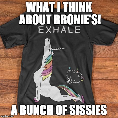 WHAT I THINK ABOUT BRONIE'S! A BUNCH OF SISSIES | image tagged in memes about memes,funny memes,meme,original meme | made w/ Imgflip meme maker