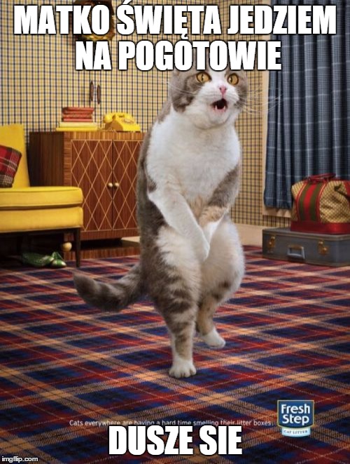 Gotta Go Cat Meme | MATKO ŚWIĘTA JEDZIEM NA POGOTOWIE; DUSZE SIE | image tagged in memes,gotta go cat | made w/ Imgflip meme maker