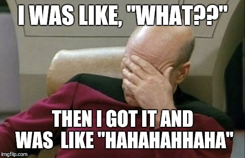 Captain Picard Facepalm Meme | I WAS LIKE, "WHAT??" THEN I GOT IT AND WAS  LIKE "HAHAHAHHAHA" | image tagged in memes,captain picard facepalm | made w/ Imgflip meme maker