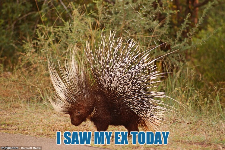 I SAW MY EX TODAY | image tagged in memes | made w/ Imgflip meme maker