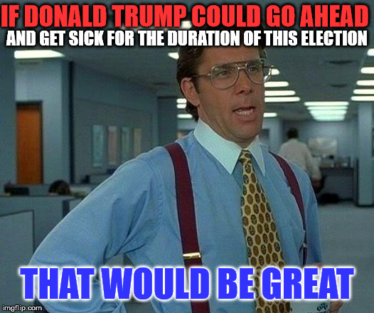 That Would Be Great | IF DONALD TRUMP COULD GO AHEAD; AND GET SICK FOR THE DURATION OF THIS ELECTION; THAT WOULD BE GREAT | image tagged in memes,that would be great | made w/ Imgflip meme maker