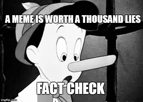 fact check | A MEME IS WORTH A THOUSAND LIES; FACT CHECK | image tagged in fact check,truth,lies,politicians,government | made w/ Imgflip meme maker