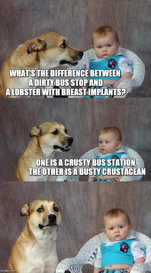 Dad Joke Dog | WHAT'S THE DIFFERENCE BETWEEN A DIRTY BUS STOP AND A LOBSTER WITH BREAST IMPLANTS? ONE IS A CRUSTY BUS STATION, THE OTHER IS A BUSTY CRUSTACEAN | image tagged in memes,dad joke dog | made w/ Imgflip meme maker