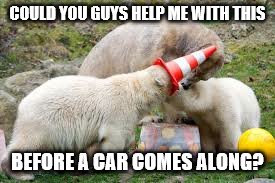 COULD YOU GUYS HELP ME WITH THIS; BEFORE A CAR COMES ALONG? | image tagged in polar bear,memes,funny,new,original meme | made w/ Imgflip meme maker