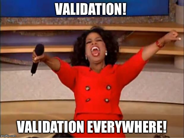 Oprah You Get A Meme | VALIDATION! VALIDATION EVERYWHERE! | image tagged in memes,oprah you get a | made w/ Imgflip meme maker