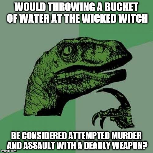 Philosoraptor Meme | WOULD THROWING A BUCKET OF WATER AT THE WICKED WITCH; BE CONSIDERED ATTEMPTED MURDER AND ASSAULT WITH A DEADLY WEAPON? | image tagged in memes,philosoraptor | made w/ Imgflip meme maker